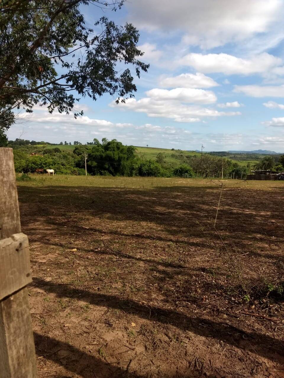 #76 - Área para Venda em São Pedro - SP