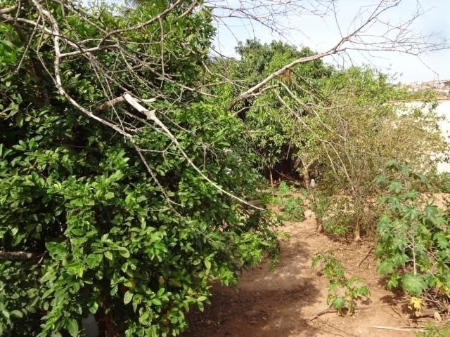 #54 - Terreno para Venda em São Pedro - SP - 3