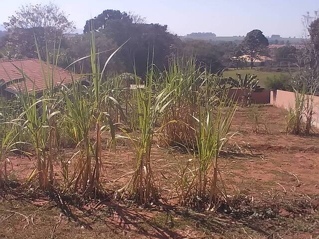 #171 - Área para Venda em São Pedro - SP