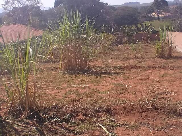 #171 - Área para Venda em São Pedro - SP